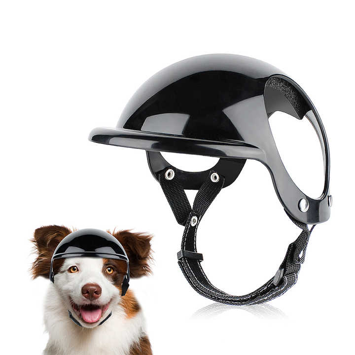 NNEDSZ Size M Black Pet Safety Helmet - Stylish Protective Headgear for Dogs